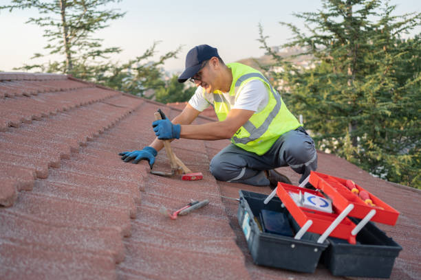 Best Tile Roofing Contractor  in Delano, MN